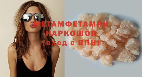 хмурый Аркадак