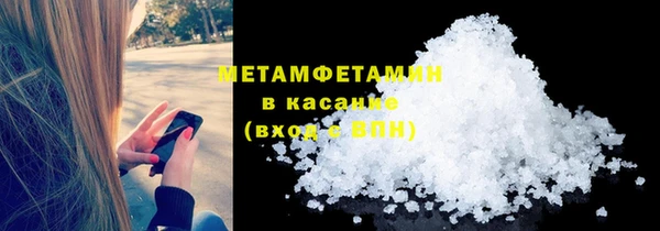 хмурый Аркадак