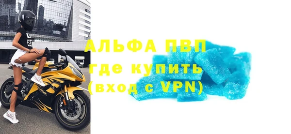 хмурый Аркадак