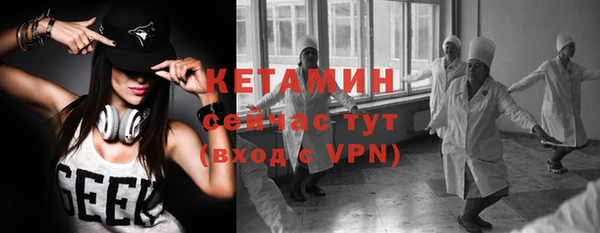 хмурый Аркадак