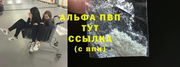 apvp Гусев