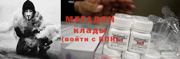 хмурый Аркадак