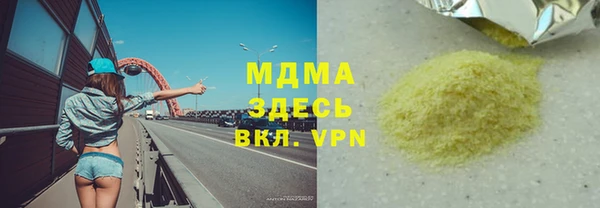 хмурый Аркадак