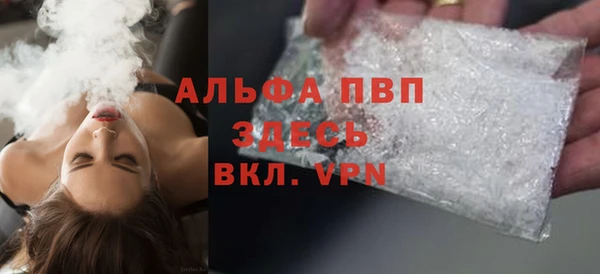 хмурый Аркадак