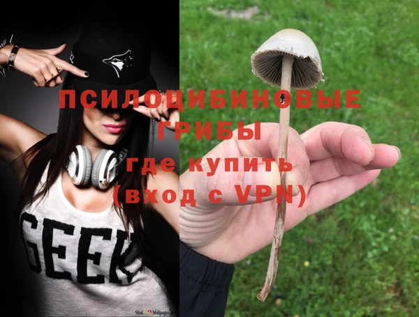 хмурый Аркадак