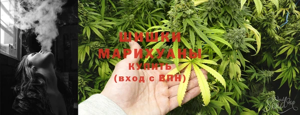 меф Арсеньев