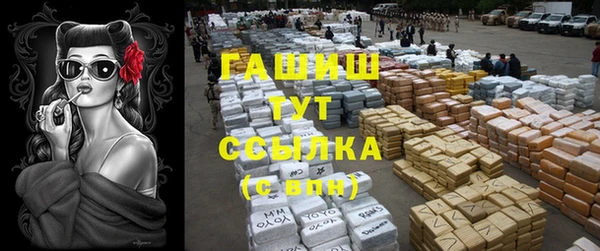 хмурый Аркадак