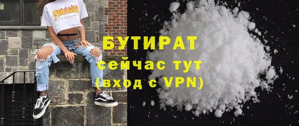 хмурый Аркадак