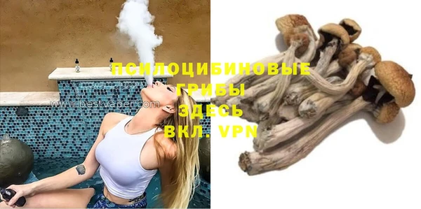 меф Арсеньев