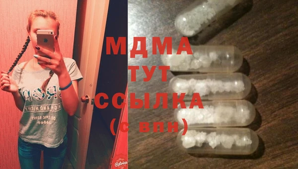 хмурый Аркадак